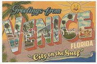 Greetings from Venice, Florida!